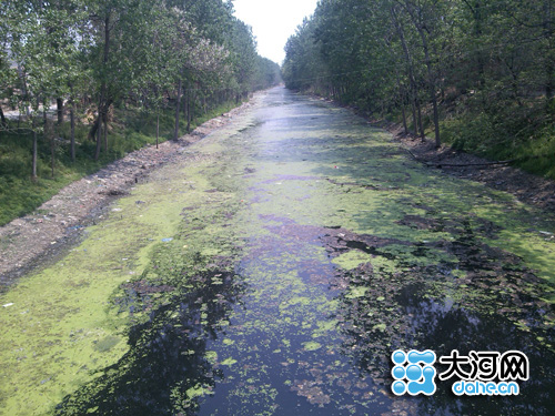 郸城县洺河最新消息